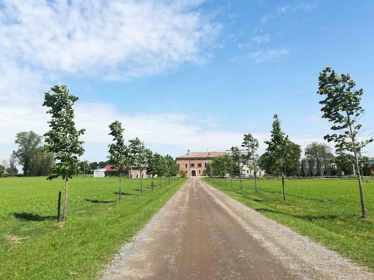 New Flowers Farm B&B Ночето Екстериор снимка
