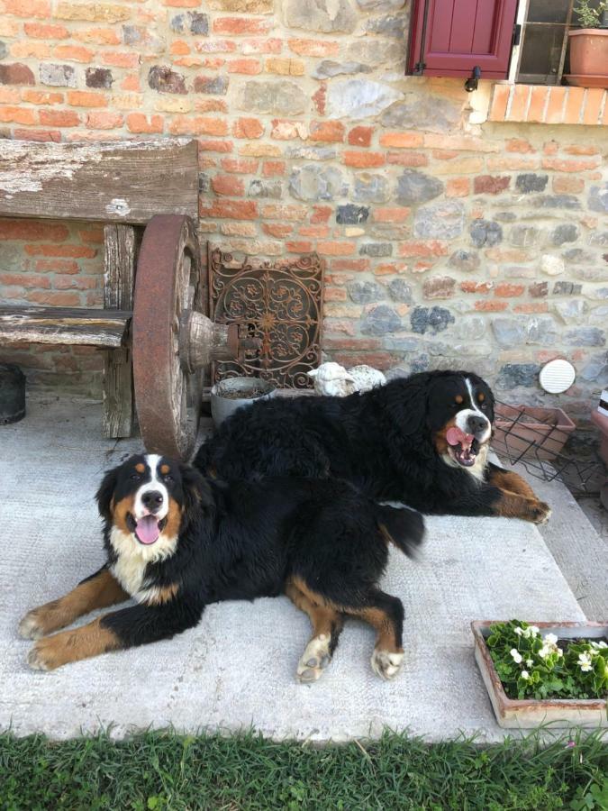 New Flowers Farm B&B Ночето Екстериор снимка